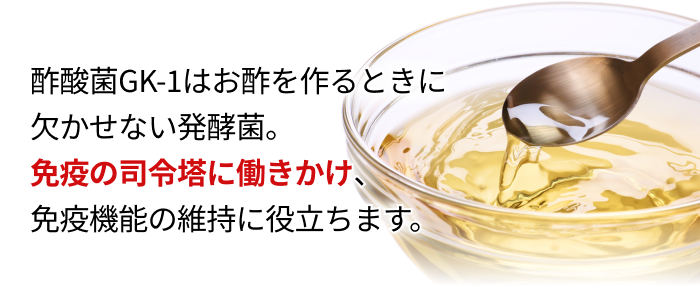 酢酸菌GK-1はお酢を作るときに欠かせない発酵菌。免疫の司令塔に働きかけ、免疫機能の維持に役立ちます。