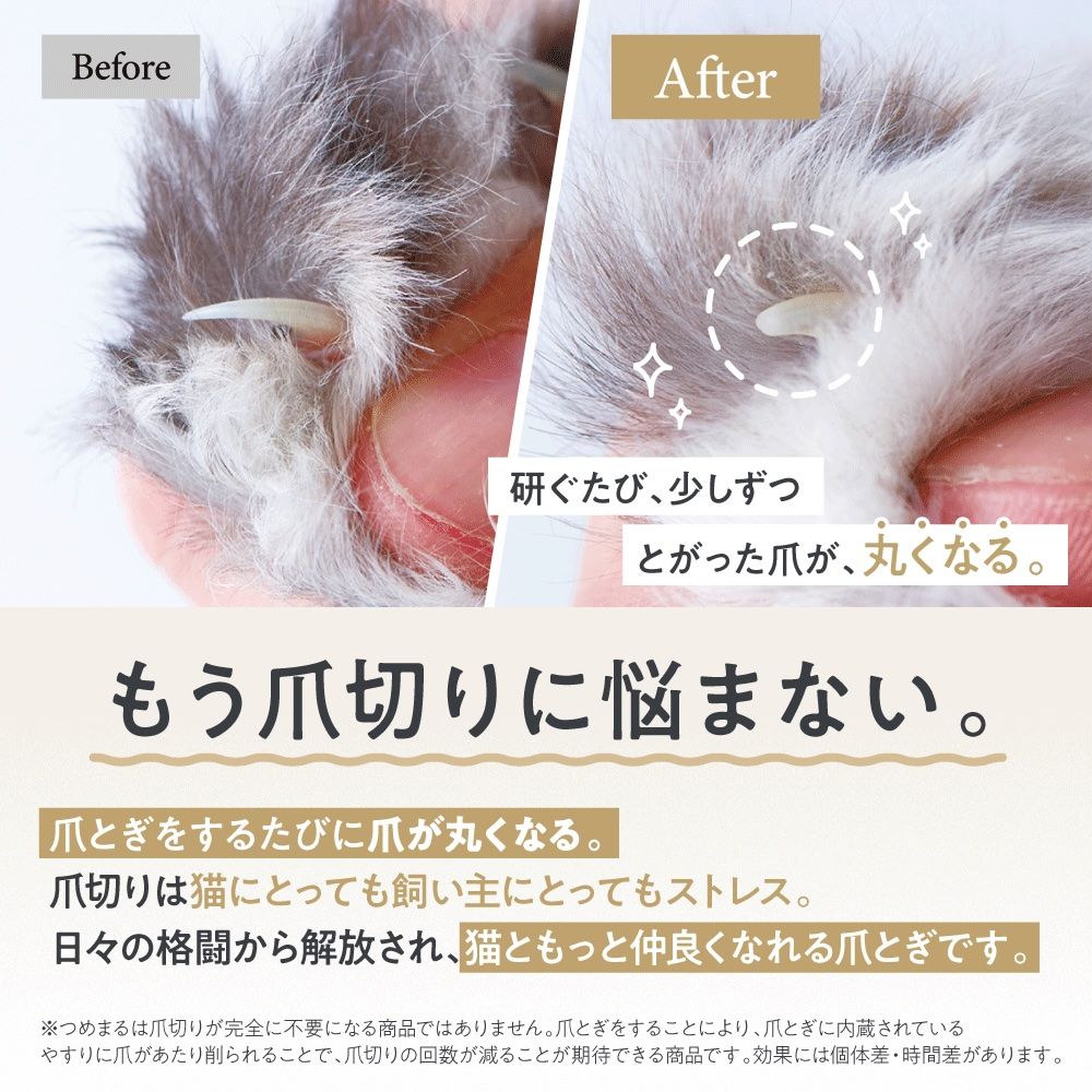 研ぐたび、少しずつとがった爪が丸くなる ビフォーアフター