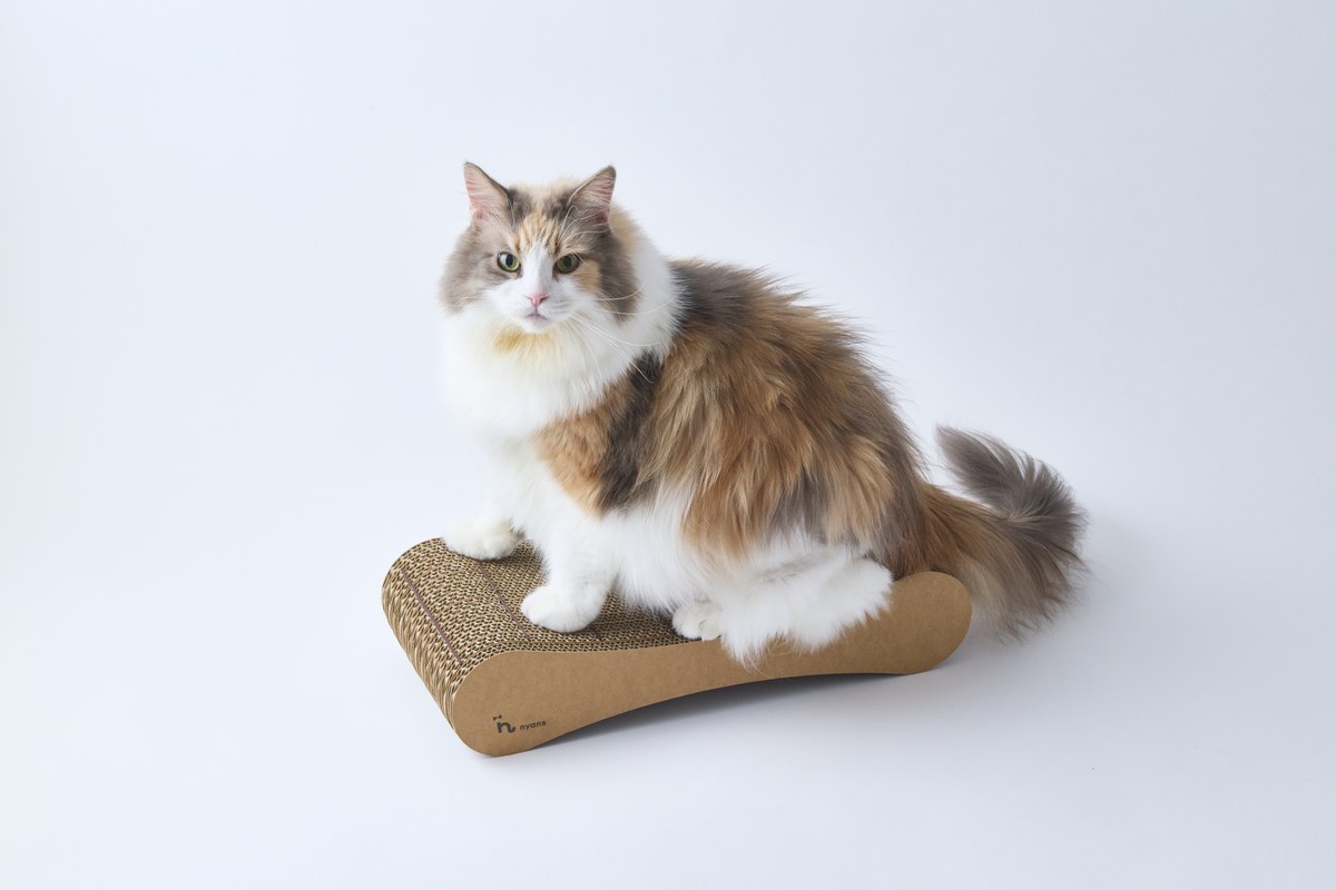 つめまる2は、猫が決めた爪とぎです。nyans（飼い主さま）審議会 〜つめまるの改善要望〜 を開催いたします。｜nyansネコラム
