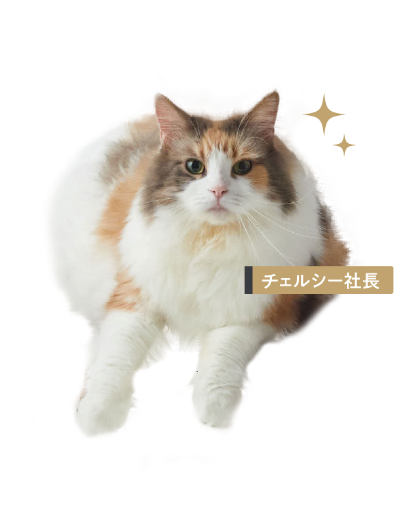 チェルシー社長