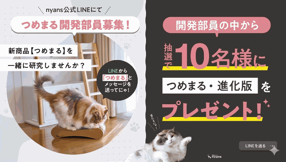 つめまる開発部員募集 LINE登録はこちら