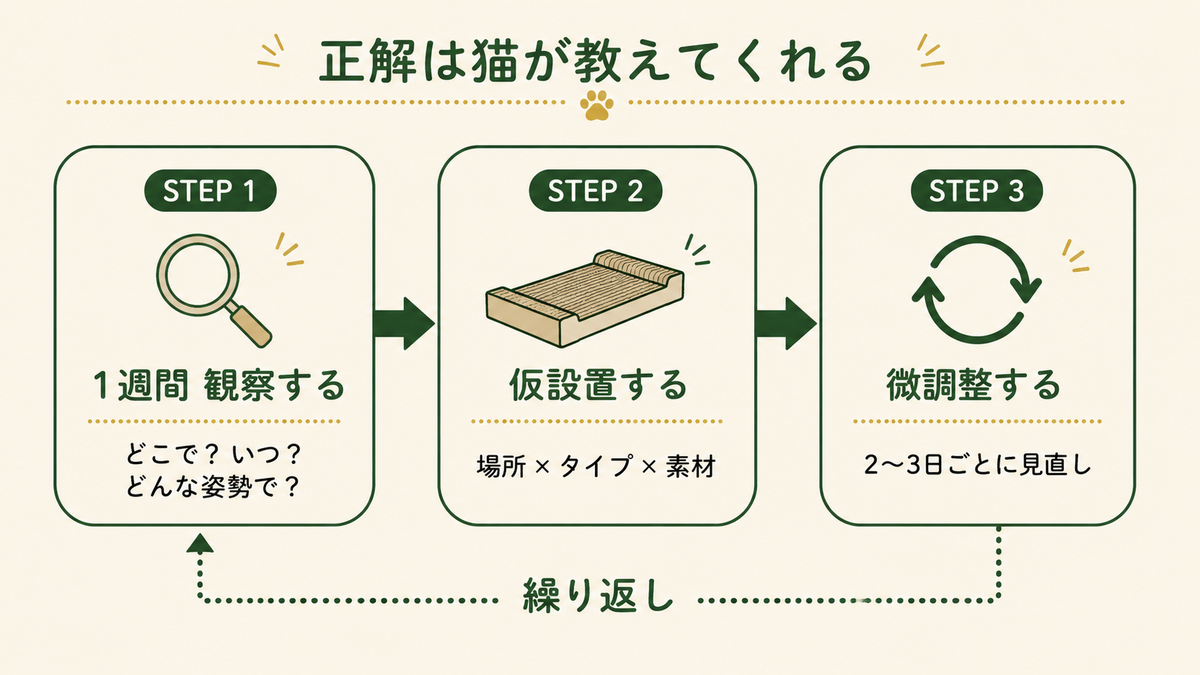 爪とぎ配置の実践3ステップ。1週間の観察、仮設置、微調整を繰り返すフロー図