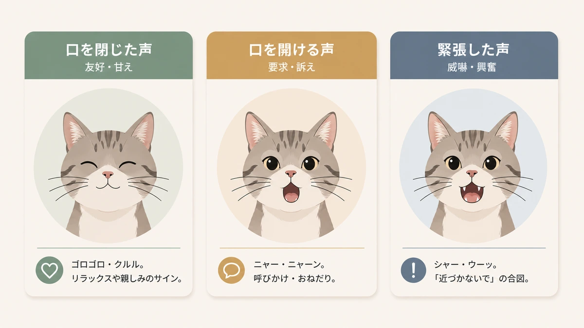 猫の鳴き声の3分類（口の使い方）を示す図解。口を閉じた声・口を開ける声・緊張した声の3グループと代表的な鳴き声・気持ちの傾向