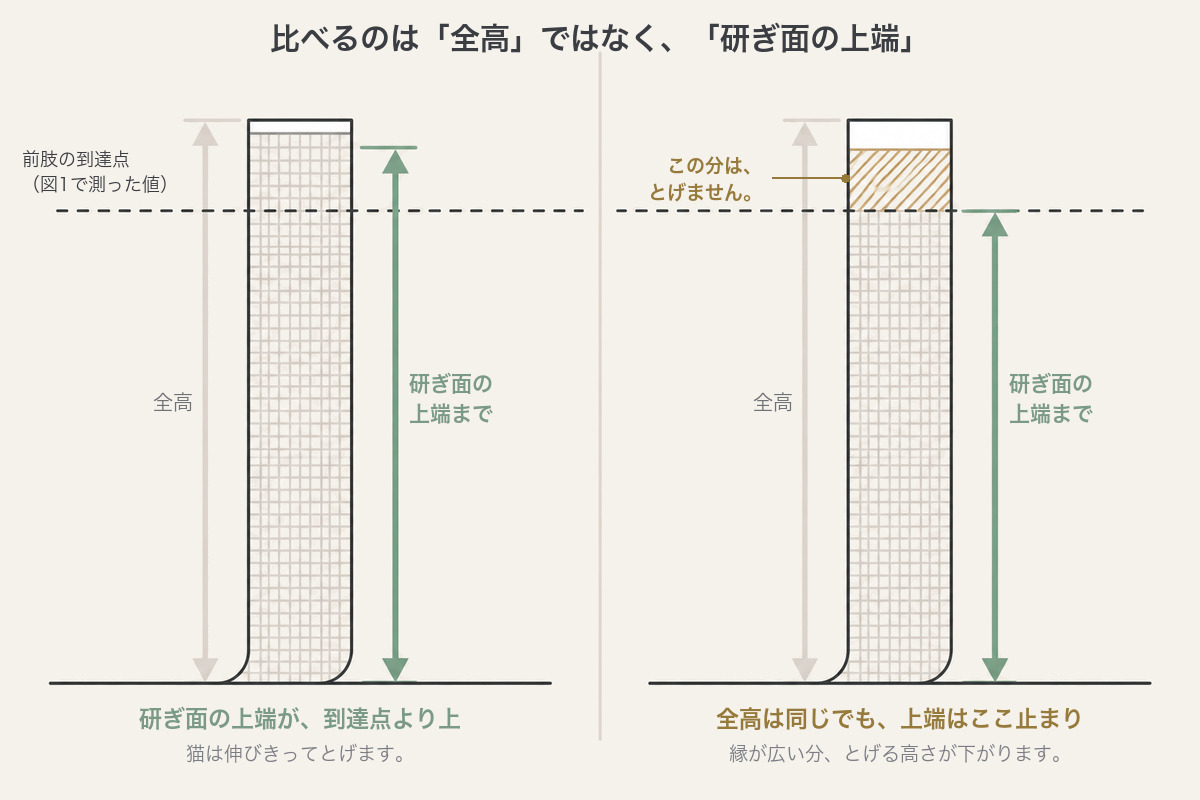 爪とぎの全高と研ぎ面の上端の違い。全高が同じでも上部の縁が広いと、実際にとげる高さは低くなる