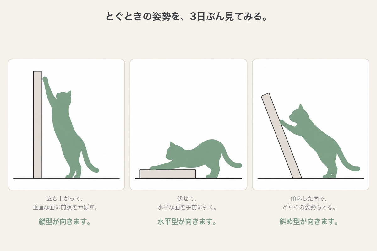 猫が爪をとぐときの3つの姿勢。立ち上がって垂直な面に前肢を伸ばす姿勢なら縦型、伏せて水平な面を手前に引く姿勢なら水平型、傾斜した面でどちらの姿勢もとるなら斜め型が向く