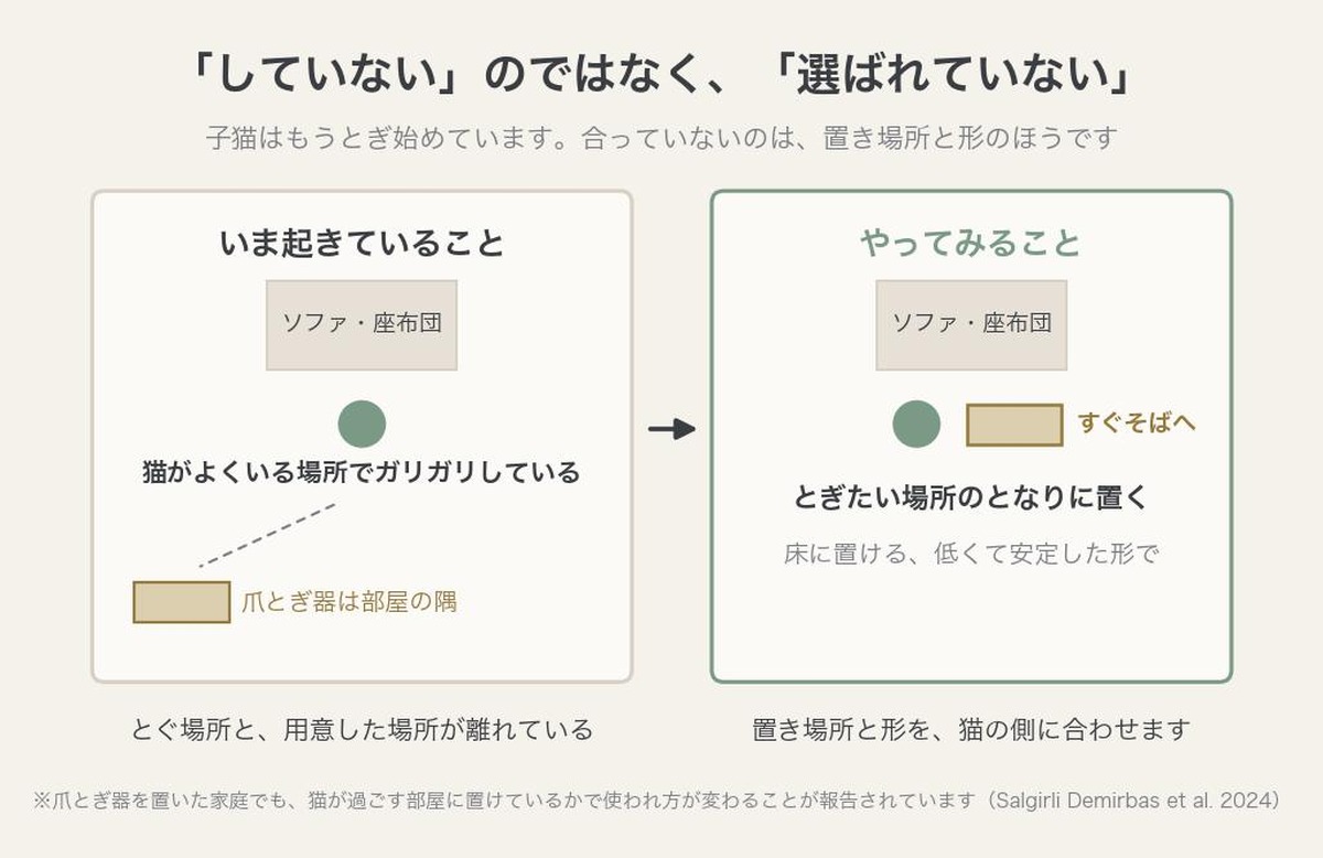 座布団で爪をとぐ猫と、部屋の隅に置かれて使われていない爪とぎ器を比べた図。生活動線から外れた場所には置かない