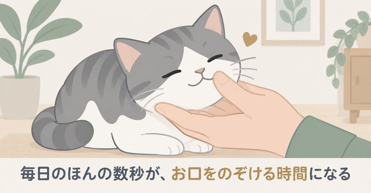 人の手にあごを乗せてくつろぐ猫。毎日のほんの数秒が、お口をのぞける時間になる