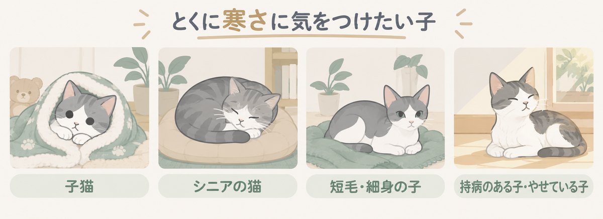 とくに寒さに気をつけたい子：子猫、シニアの猫、短毛・細身の子、持病のある子・やせている子