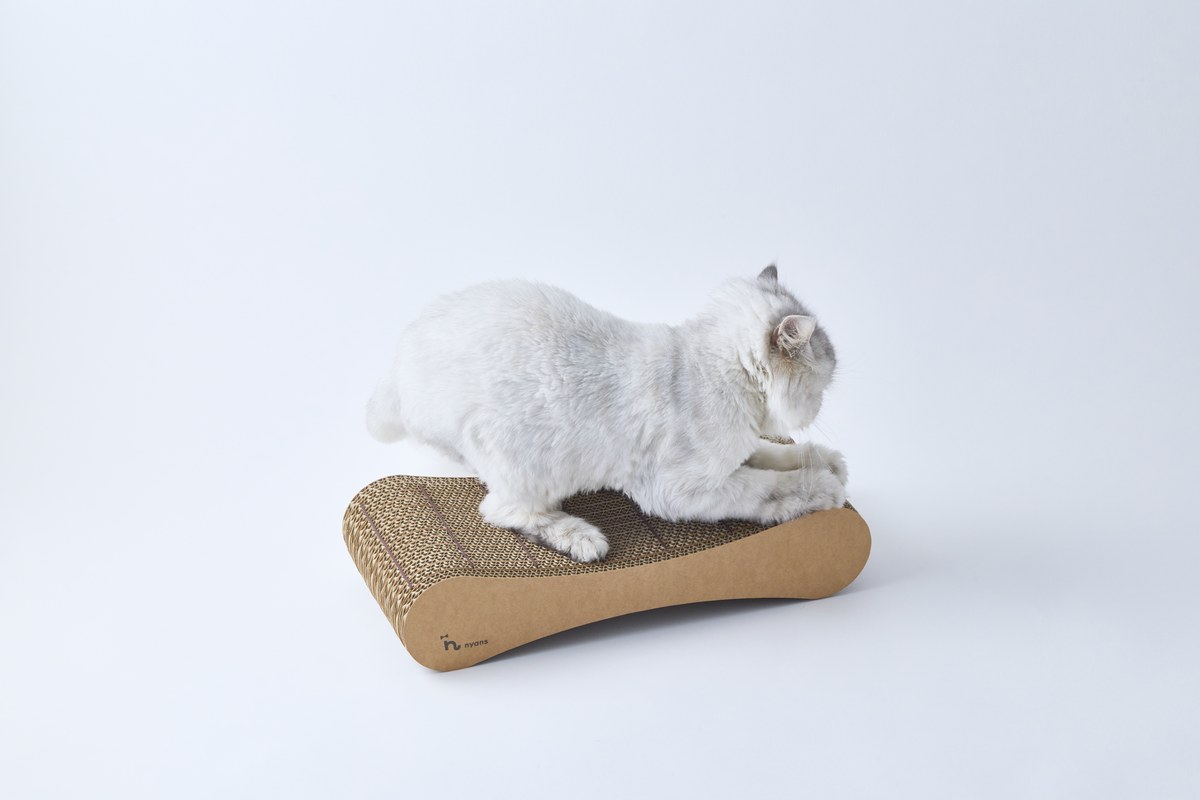 つめまる2タイプAのやすり面に前足をかけるミルキー