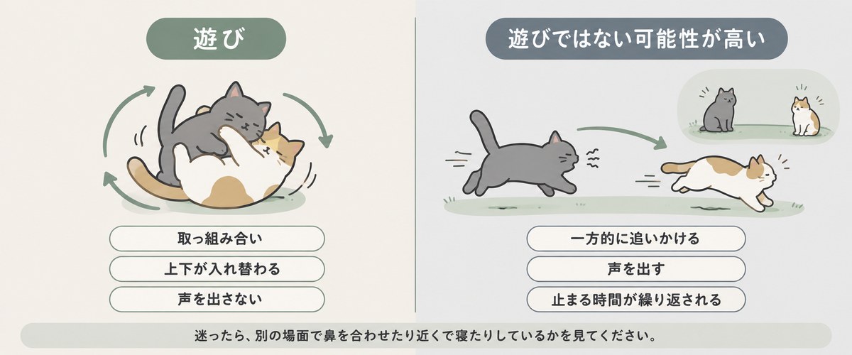 声を出さずに取っ組み合い役割が入れ替わる遊びと、一方的に追いかけて声が出る敵対のやりとりを左右に並べた比較図