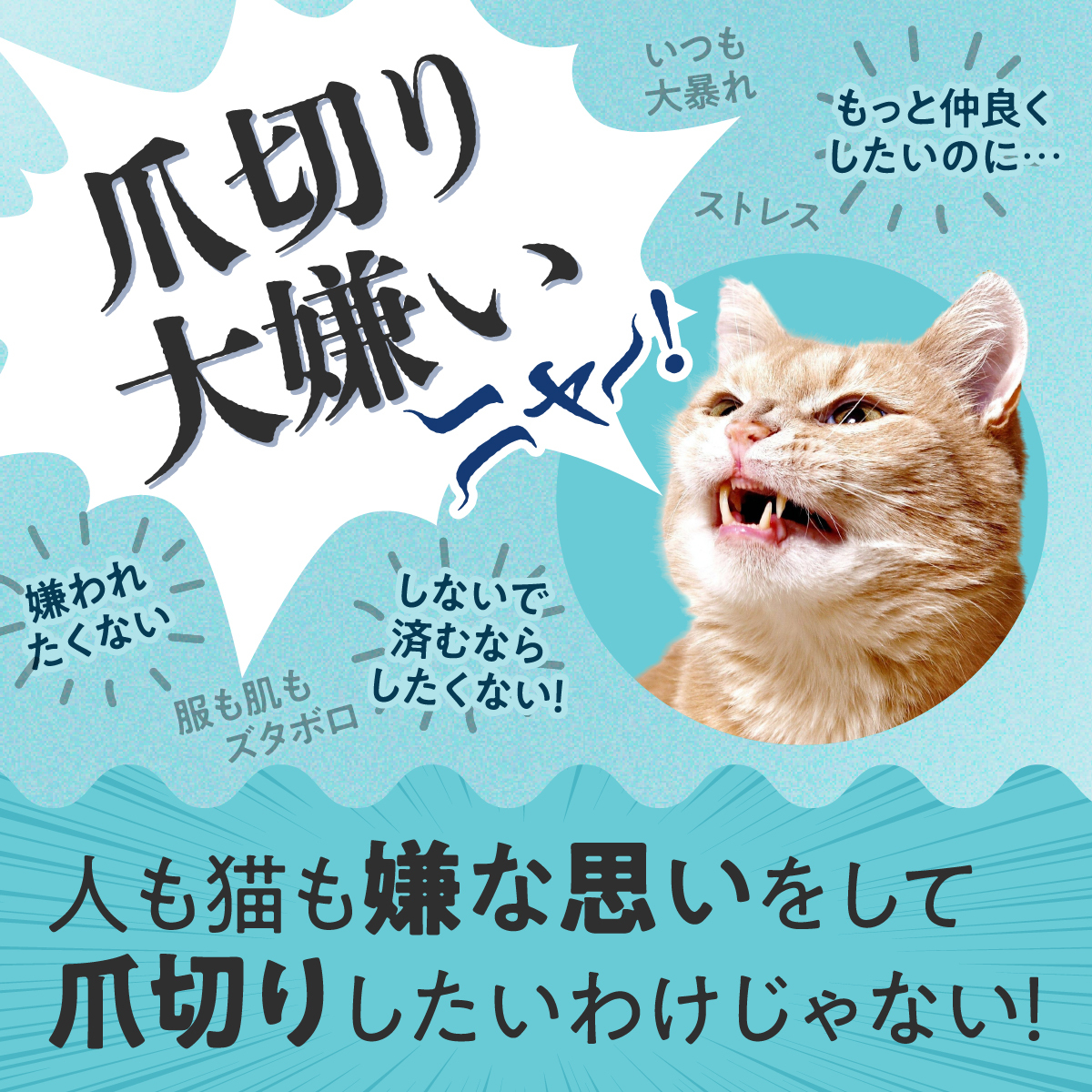 猫が爪切りを嫌がる理由｜猫の気持ちから考える5つのストレス軽減法