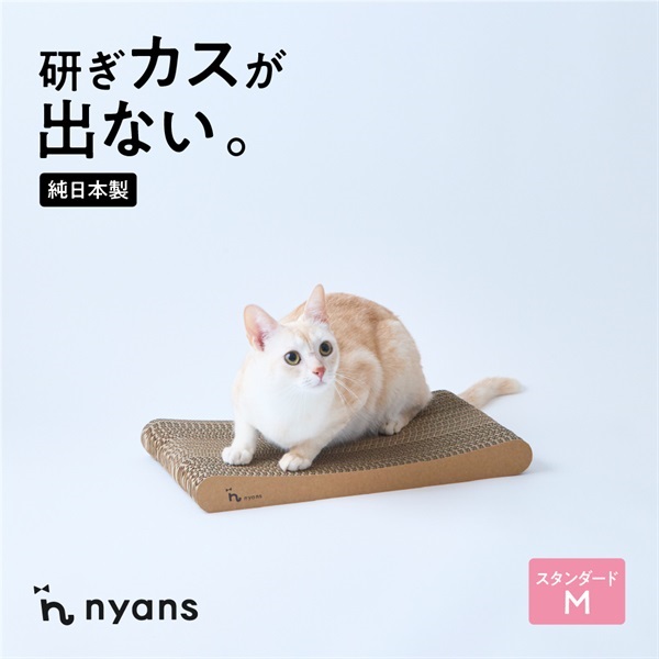 スタンダード