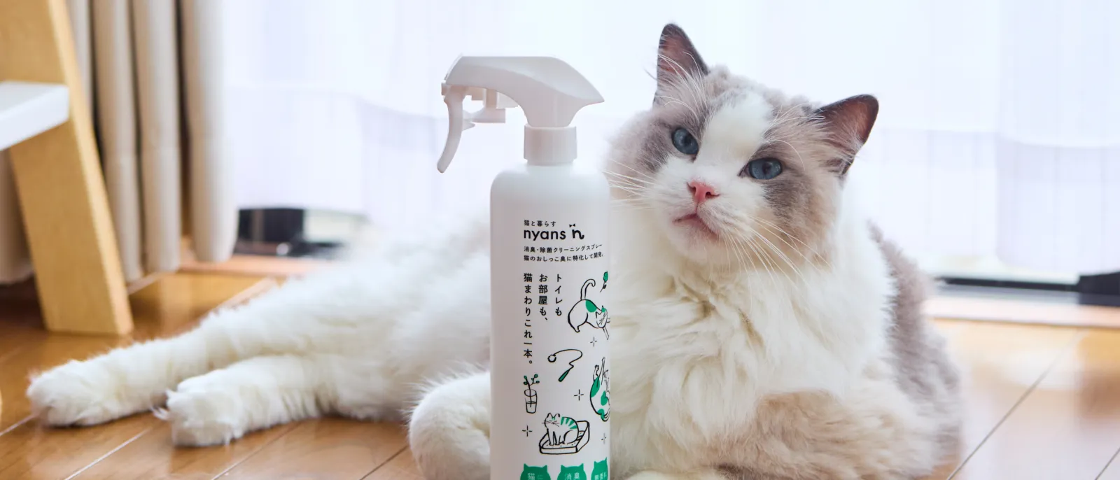 nyansの消臭除菌クリーニングスプレーを猫のそばで使うシーン