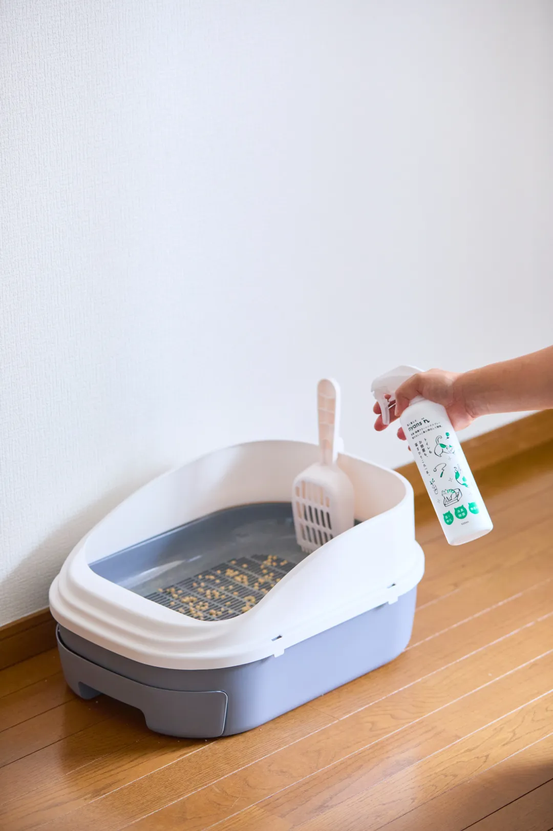 猫トイレ周りにスプレーする様子
