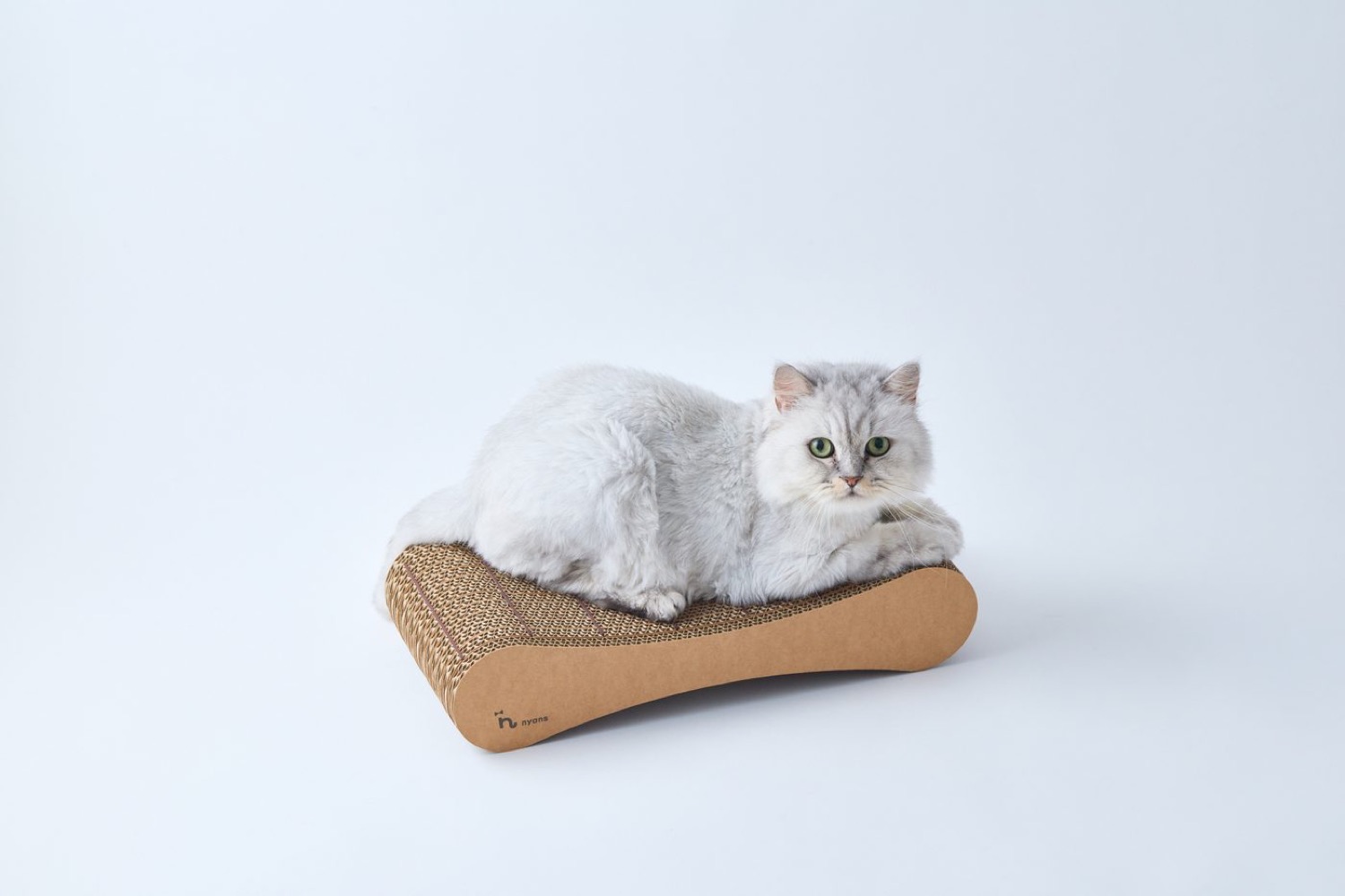 猫がつめまるを使っている様子
