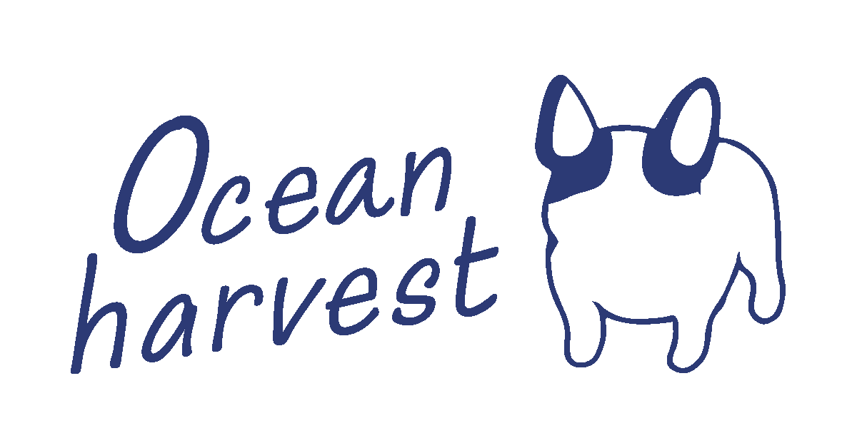 Ocean harvest ドッグフード ホワイトフィッシュ 500g オーシャンハーベスト｜愛犬の健康と海の健康を育む白身魚の
