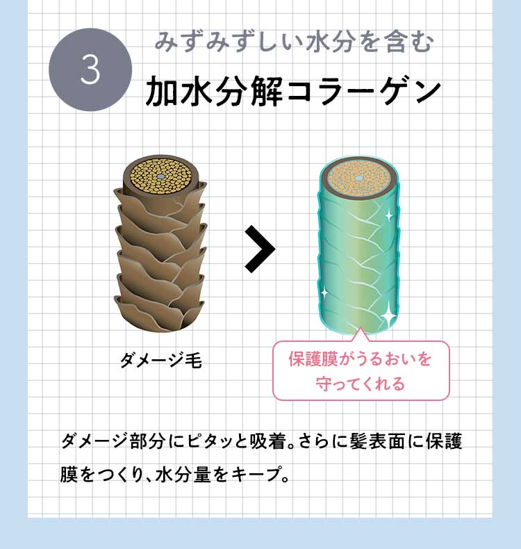 みずみずしい水分を含む加水分解コラーゲン