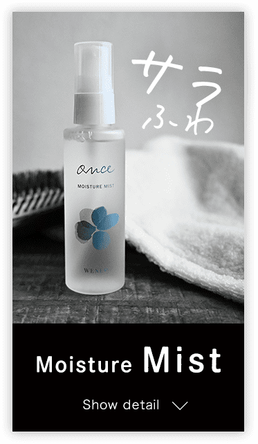 あなたはどっち？ミスト