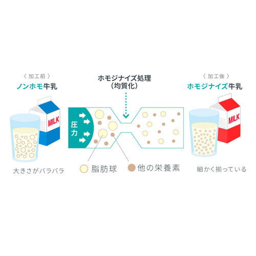 よーぐると 無糖》半熟よーぐるちょ350g×5個セット｜ミルコロ｜公式・オオヤブ