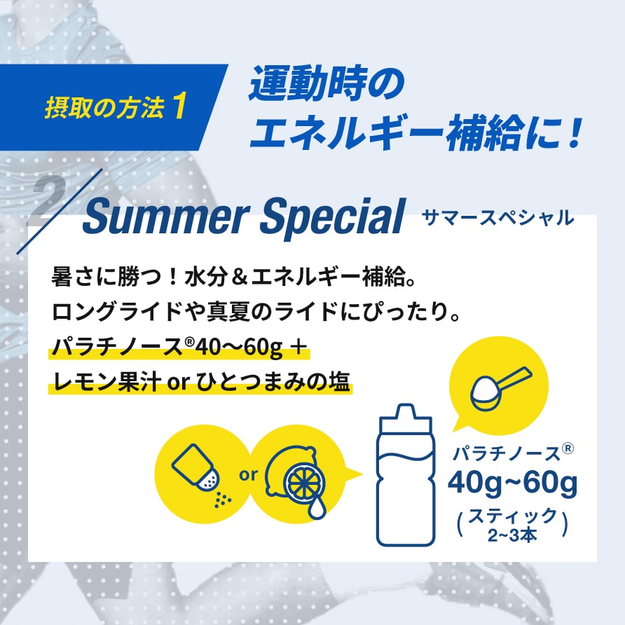 Palatinose ピュアパラスティック 10本入り×2袋セット | パラチノース