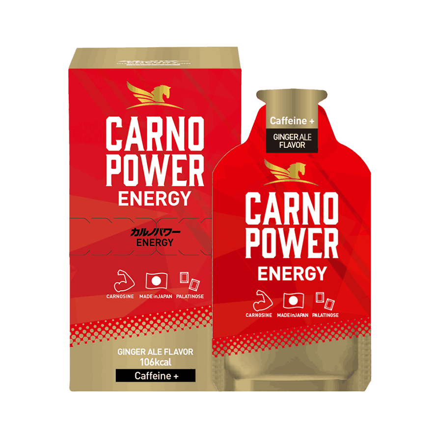 カルノパワーENERGY ジンジャーエール味 1箱（10個入り）