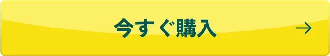 今すぐ購入