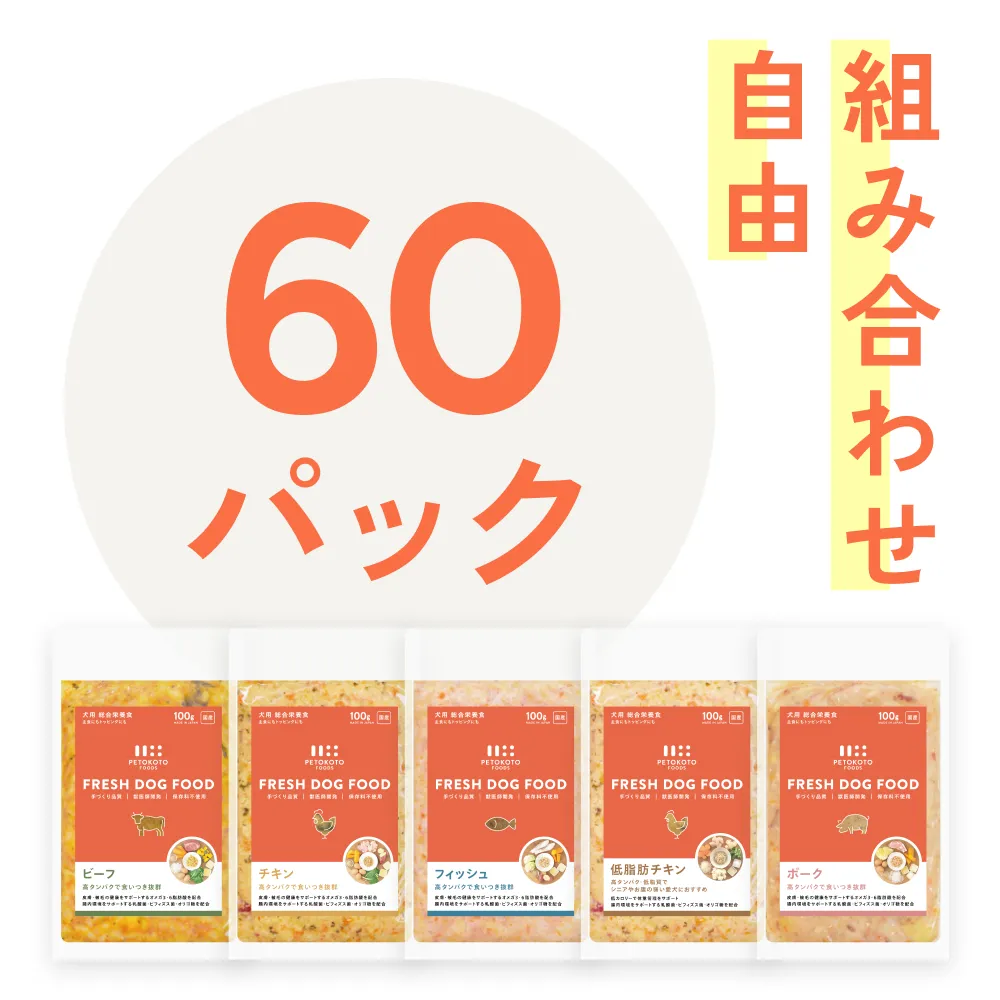 味が選べる定期便　フレッシュドッグフード　100g×60パック