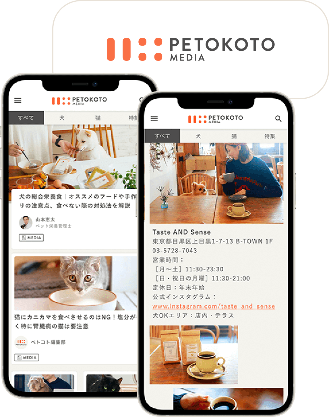 PETOKOTO MEDIA