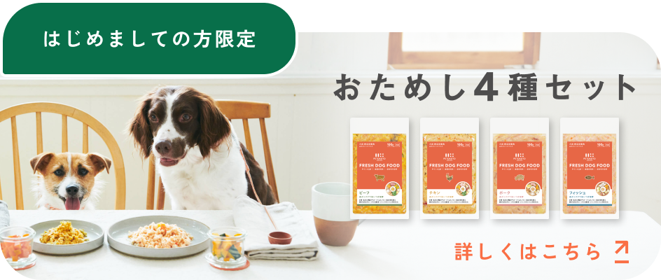 はじめましての方限定 おためし4種セット 詳しくはこちら→