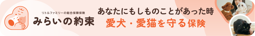 リトルファミリーの総合保障保険みらいの約束