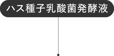 ハス種子乳酸菌発酵液