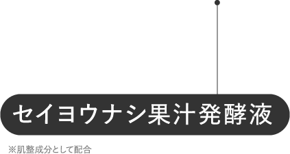 セイヨウナシ果汁発酵液
