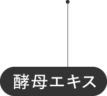 酵母エキス