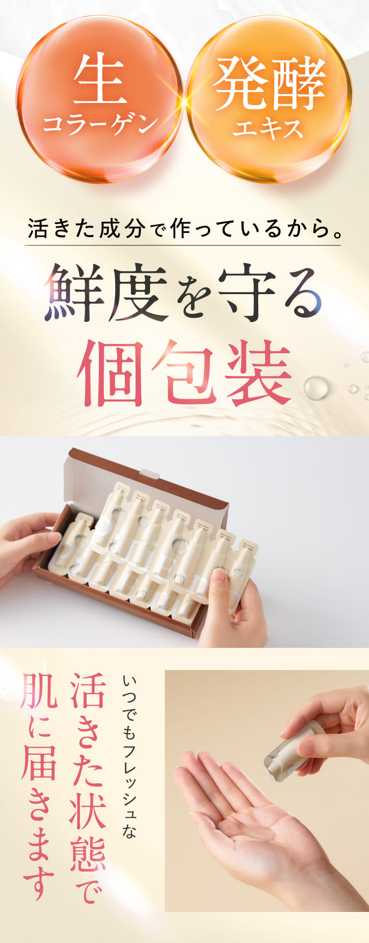 鮮度を守る個包装