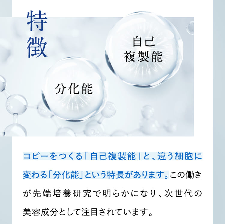 特徴
