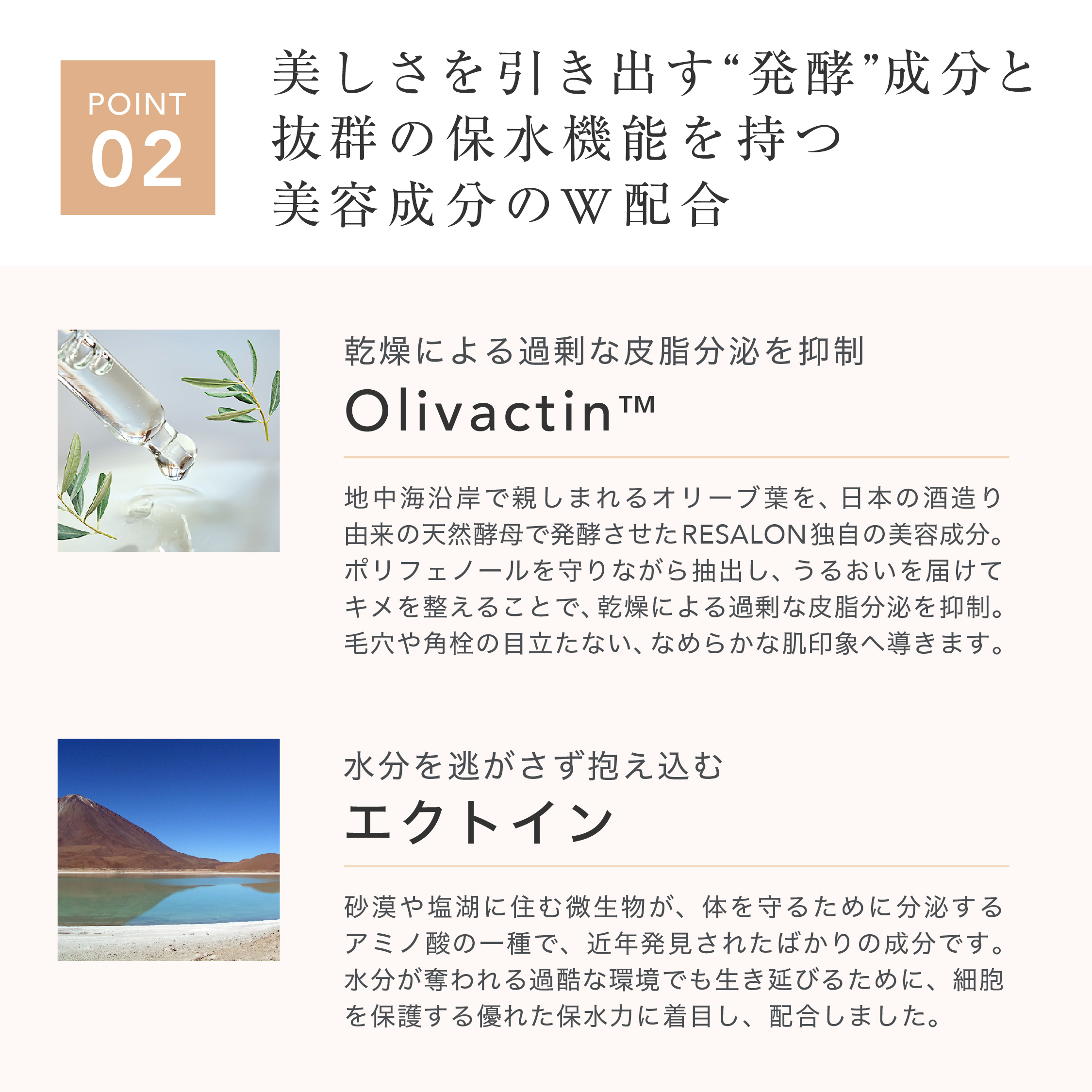 【限定定期】RVC ローションセラム＋生炭酸ブーストパウダー
