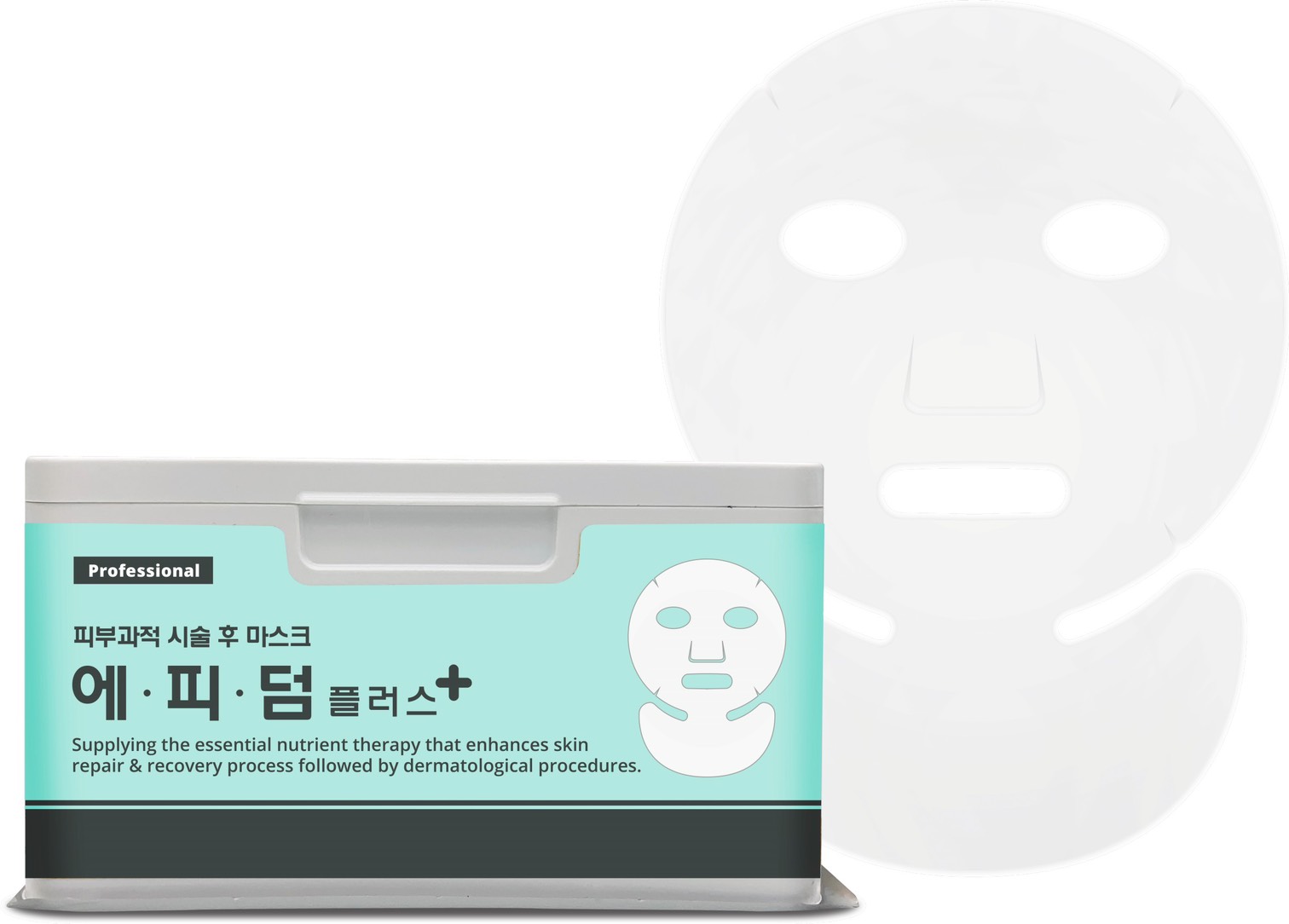 エピダームプラスマスク 25枚入