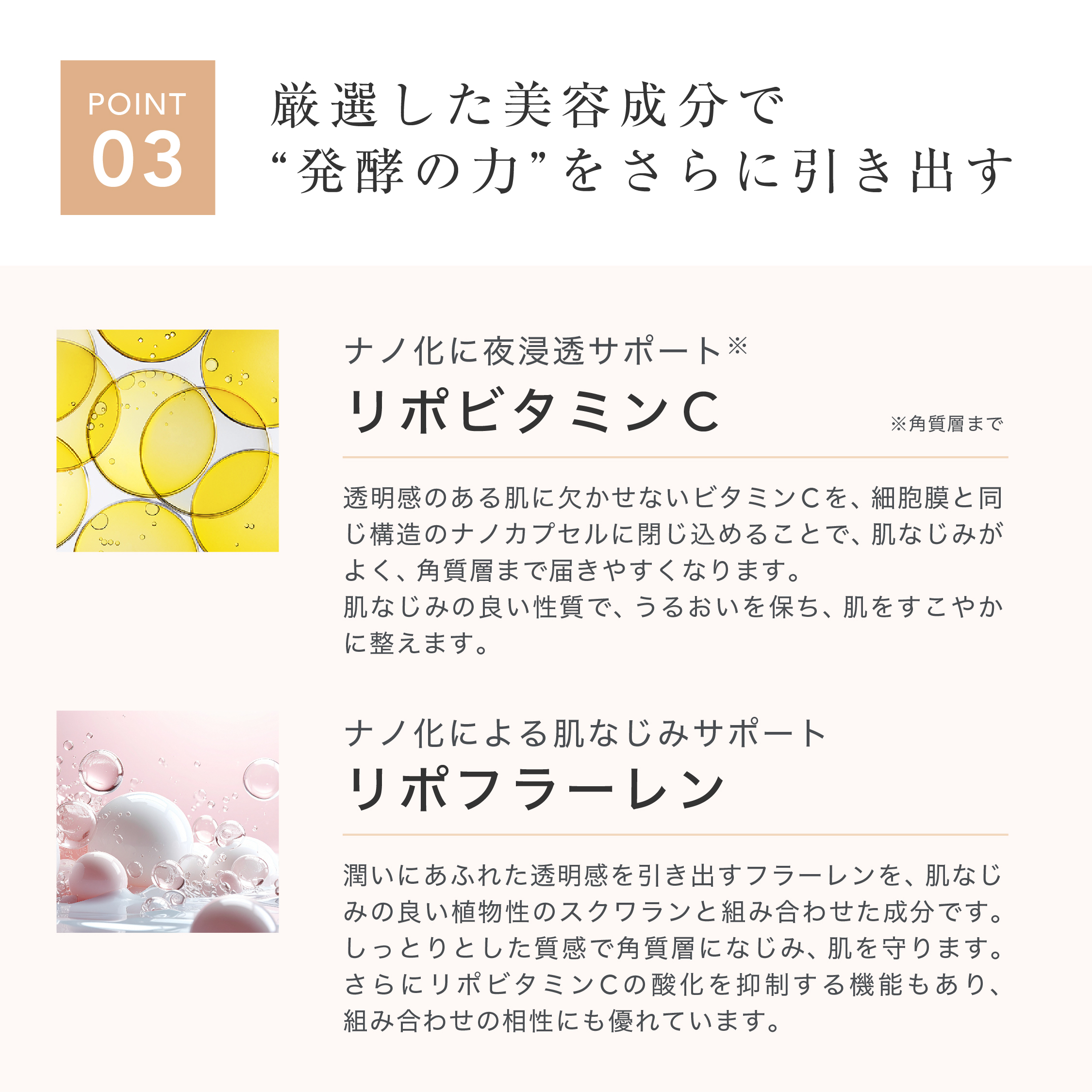 【限定】RVC ローションセラム＋生炭酸ブーストパウダー