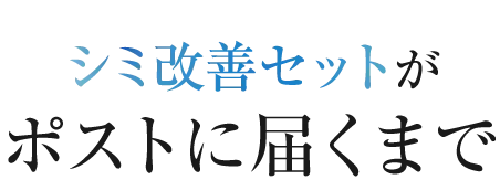 シミ改善セットがポストに届くまで