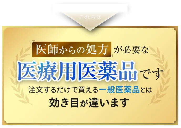 医師からの処方が必要な医療用医薬品です 注文するだけで買える一般薬品とは効き目が違います