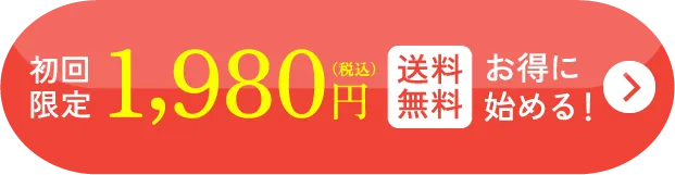 送料無料、初回特別価格1,980円で購入する