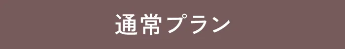 通常プラン