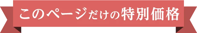 このページだけの特別価格