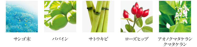 主要成分　サンゴ末　パパイン　サトウキビ　ローズヒップ