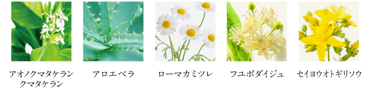 主要成分　アロエベラ葉　ローマカミツレ花　フユボタイジュ花