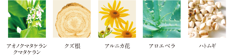 主要成分　クズ根　アルニカ花　アロエベラ　ハトムギ