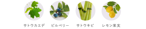 主要成分　サトウカエデ　ビルベリー　サトウキビ　レモン果実
