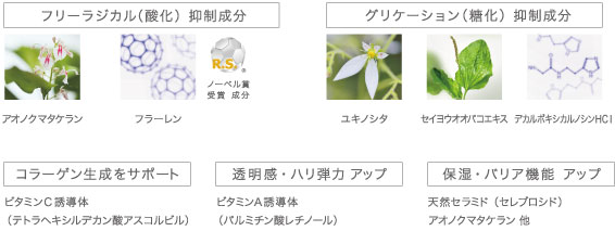 フリーラジカル（酸化）　グリケーション（糖化）　抑制成分