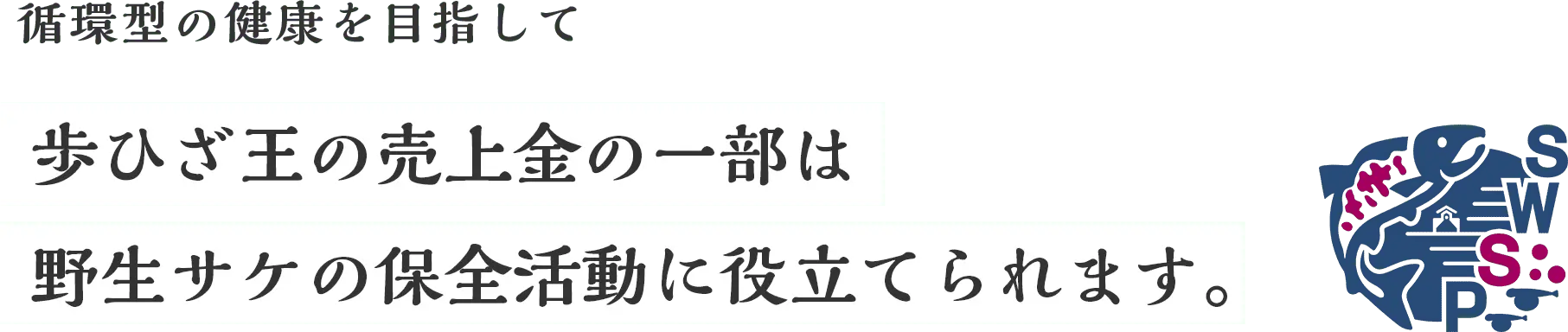 循環型の健康を目指して歩ひざ王の売上金の一部は野生サケの保全活動に役立てられます。