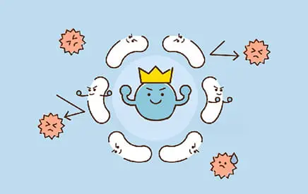 プロテオガード乳酸菌